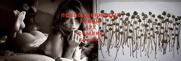 каннабис Новодвинск