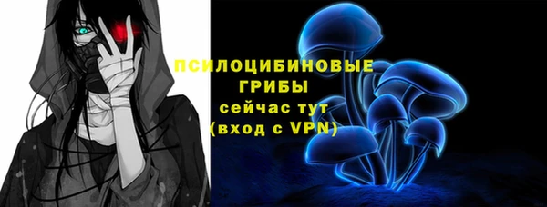 каннабис Новодвинск