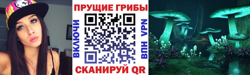 Галлюциногенные грибы ЛСД  hydra вход  Лесозаводск 